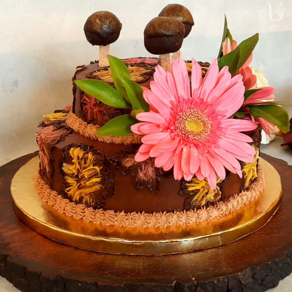 Cake Craft Shop - Cake Decorating Tools Supplies INDIA | Baking Tools INDIA